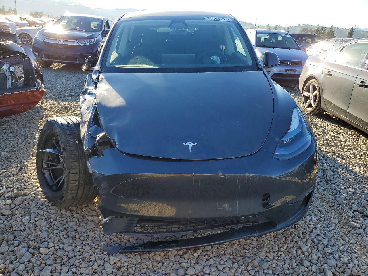 2025 TESLA MODEL Y