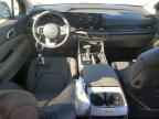 2026 KIA Carnival