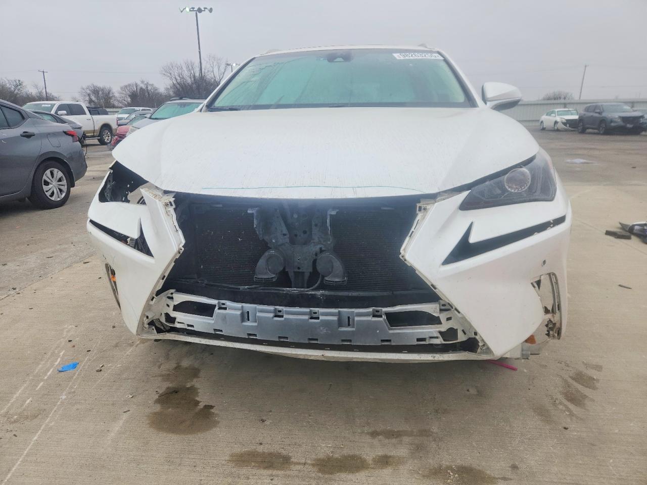 2019 LEXUS NX 300