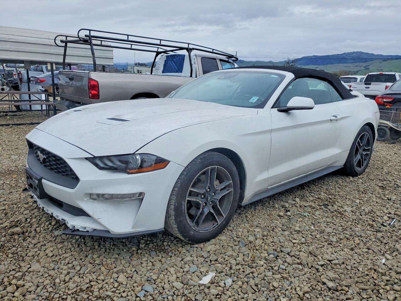 2021 FORD MUSTANG