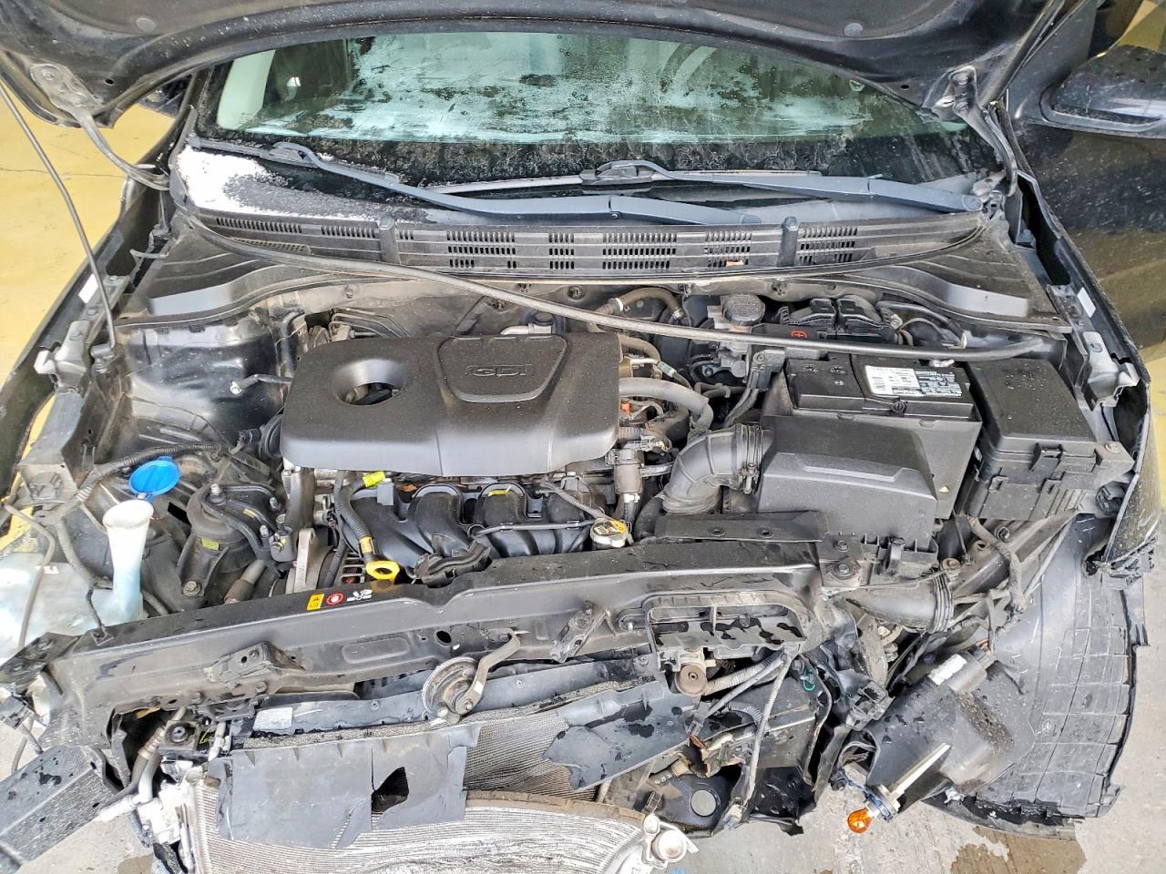 2019 KIA RIO