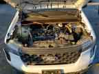 2025 FORD Maverick