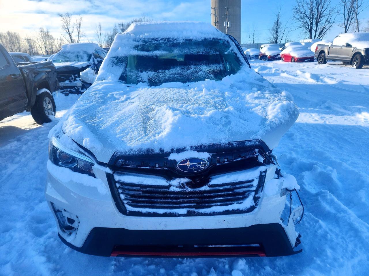 2019 SUBARU FORESTER