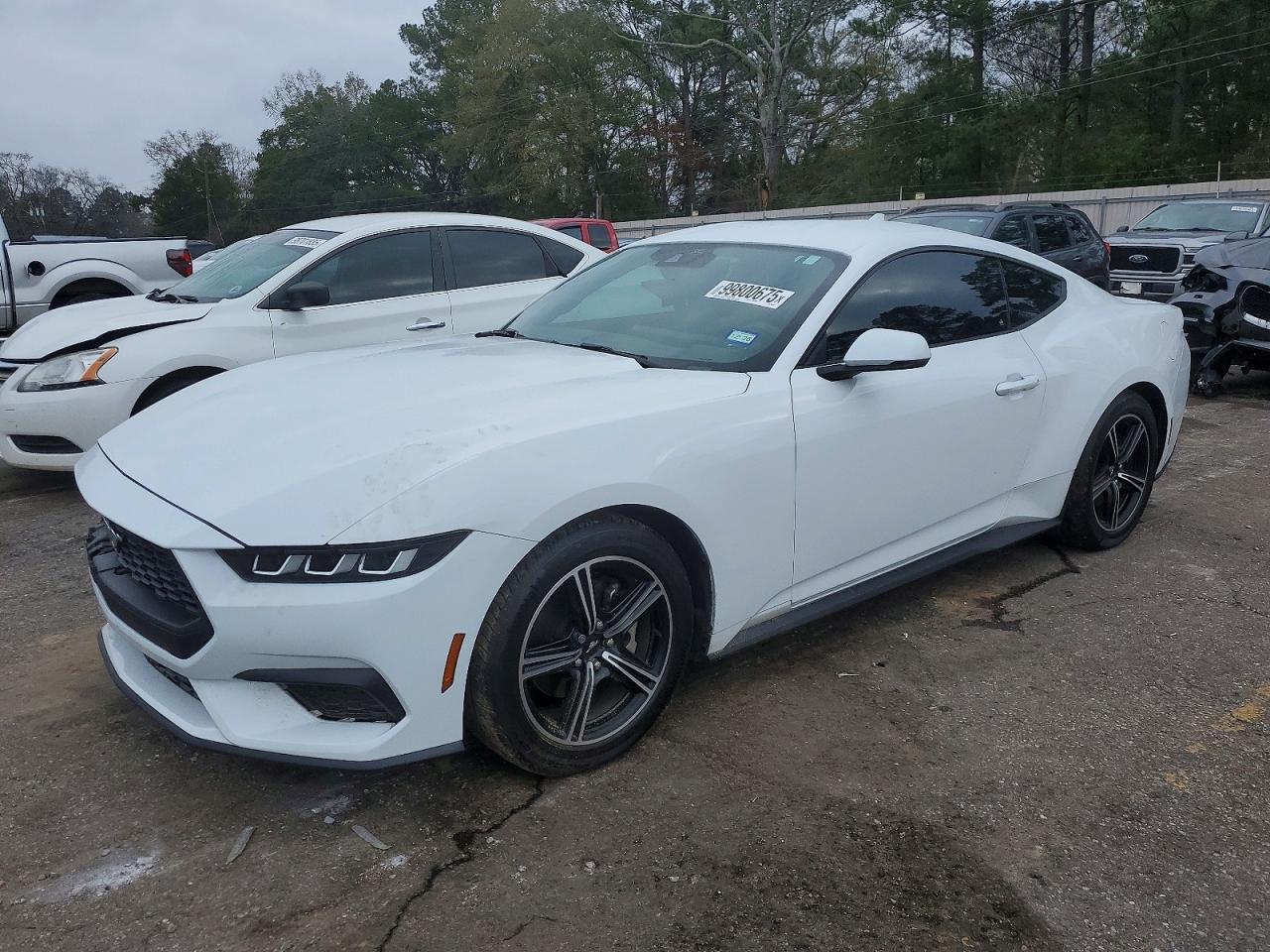 2024 FORD MUSTANG