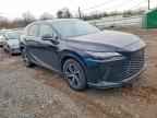 2025 LEXUS RX 350