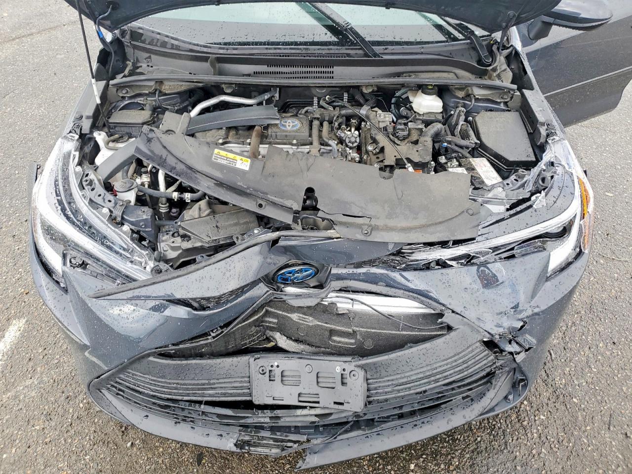 2023 TOYOTA COROLLA