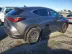 2026 LEXUS NX 350