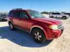 2010 FORD ESCAPE