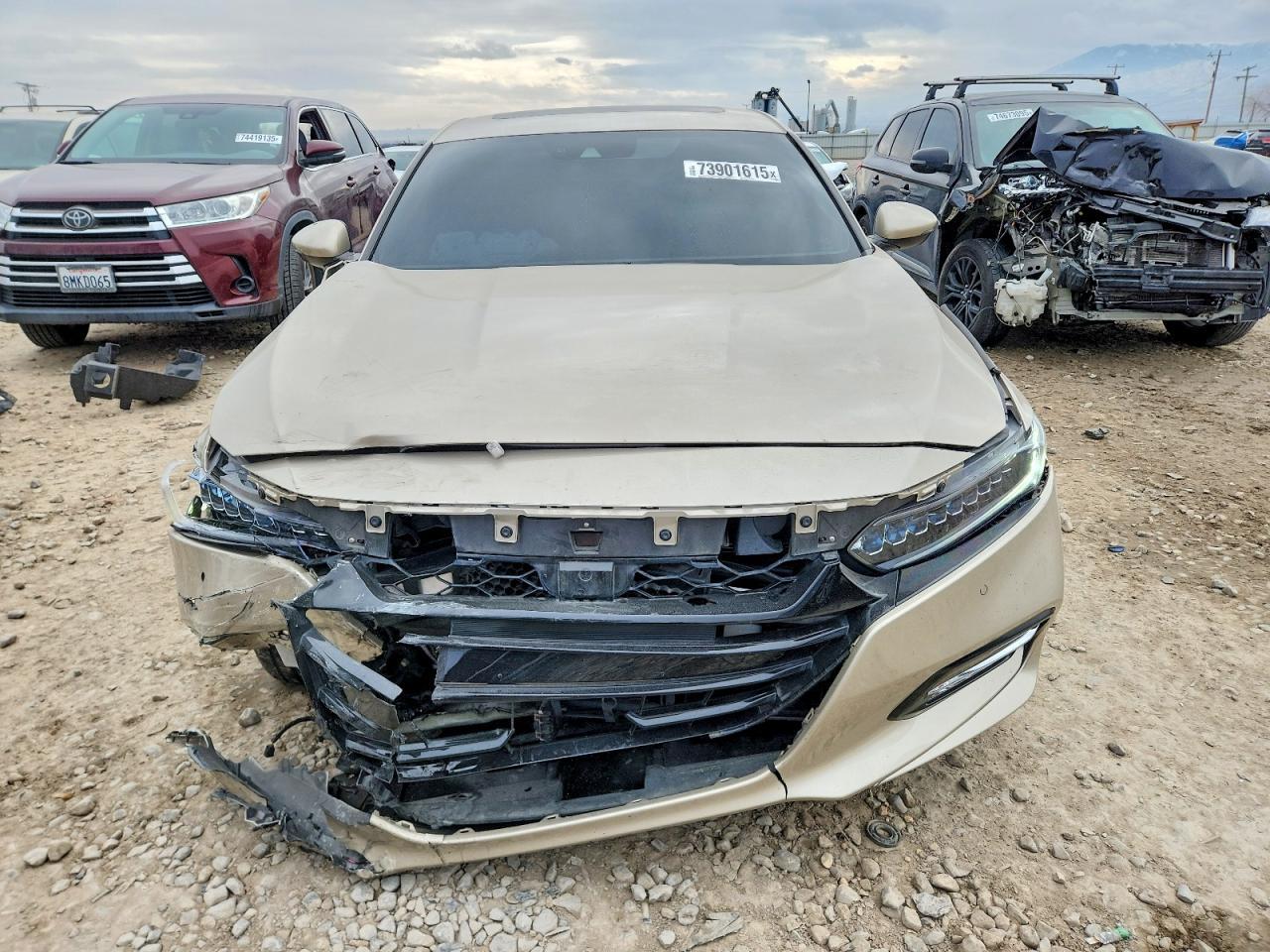 2019 HONDA ACCORD