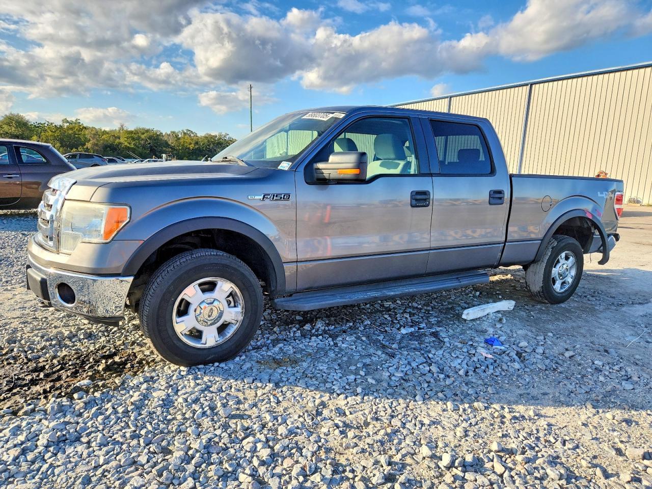 2009 FORD F-150