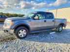 2009 FORD F-150