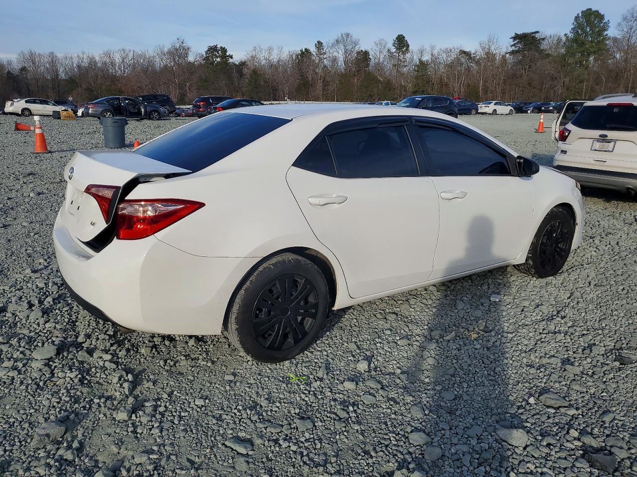 2019 TOYOTA COROLLA