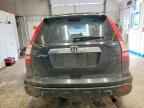 2007 HONDA CR-V
