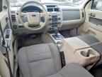 2010 FORD ESCAPE