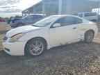 2008 NISSAN ALTIMA