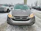 2010 HONDA CR-V