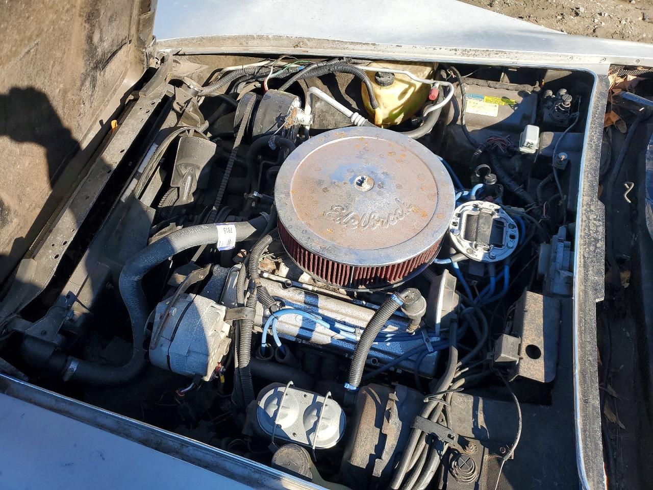 1981 CHEVROLET CORVETTE