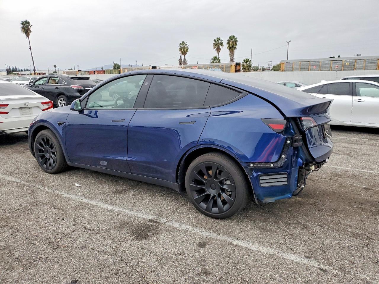 2024 TESLA MODEL Y