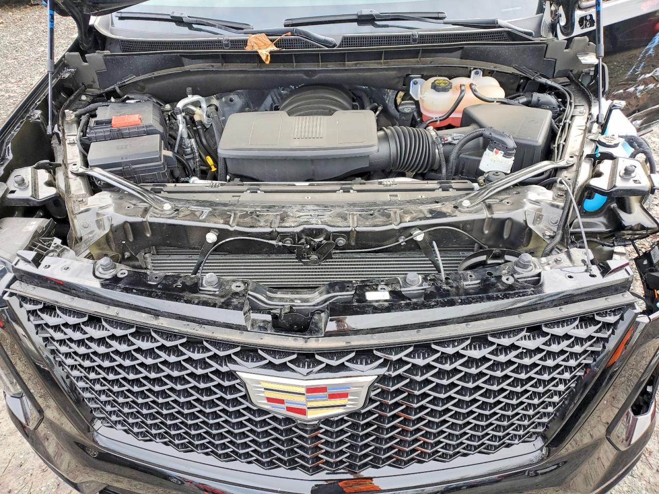 2025 CADILLAC ESCALADE