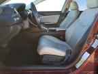 2019 HONDA Insight