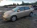 2006 TOYOTA COROLLA