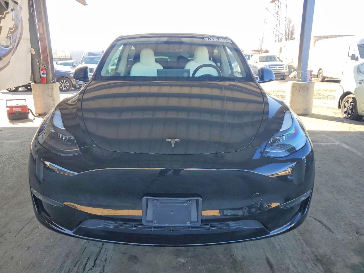 2025 TESLA MODEL Y