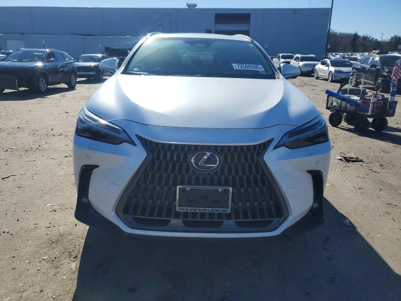 2024 LEXUS Nx