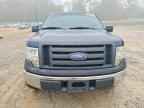 2009 FORD F-150 Lightning