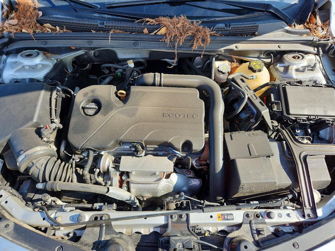 2019 CHEVROLET MALIBU
