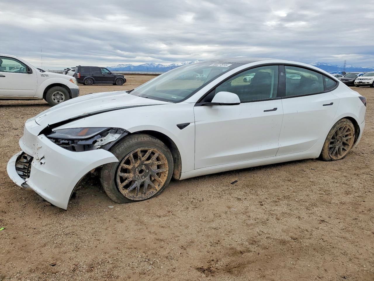2025 TESLA MODEL 3