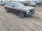 2013 DODGE Challenger
