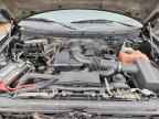2010 FORD F-150 Lightning