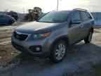 2011 KIA SORENTO