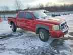 2006 DODGE Dakota