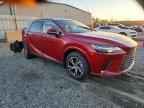 2025 LEXUS RX 350