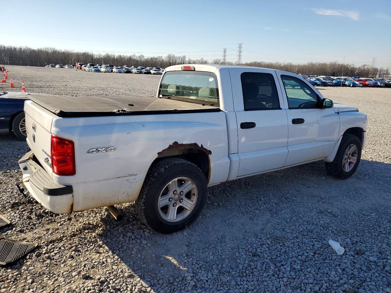 2010 DODGE Dakota