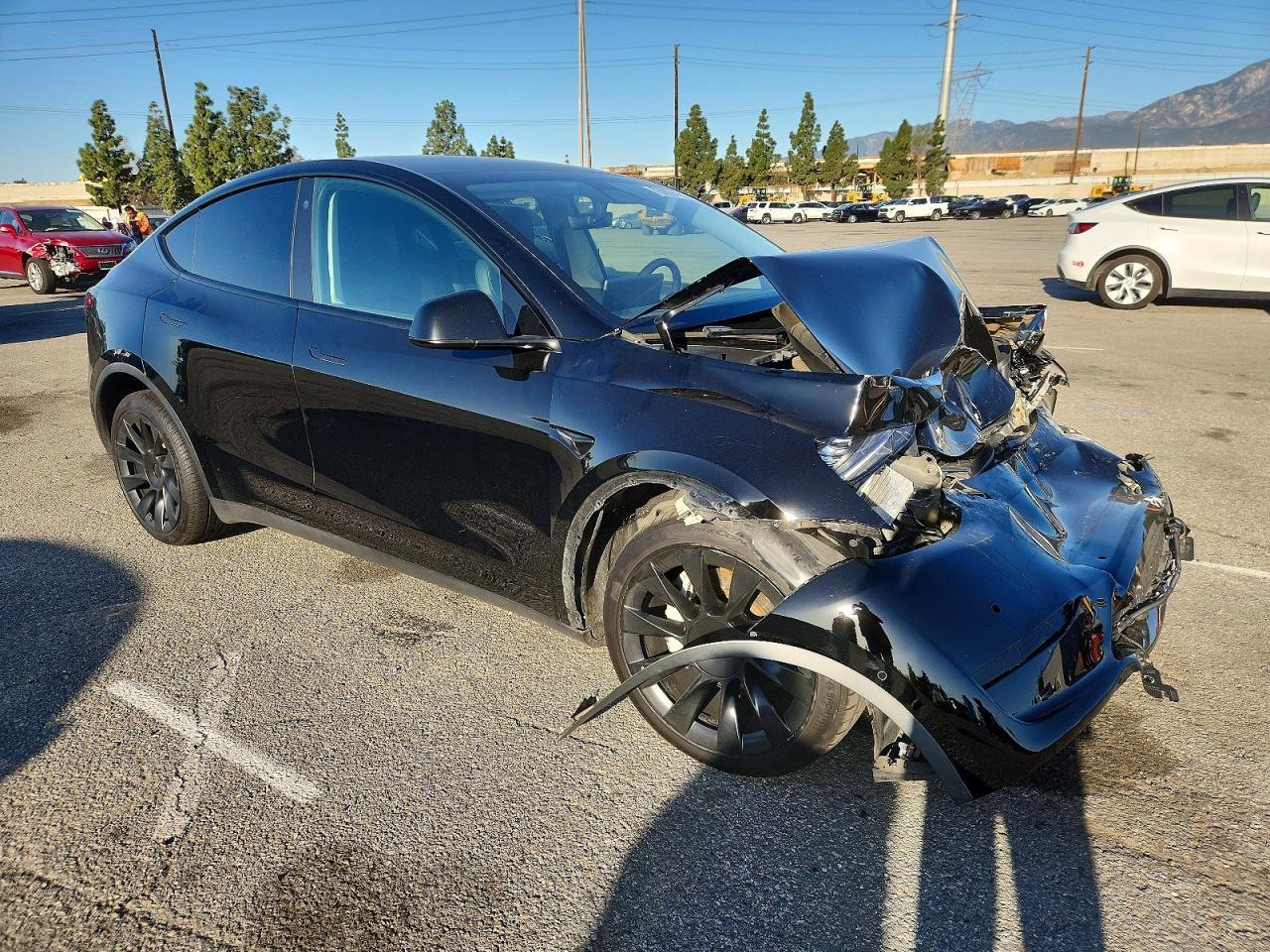 2021 TESLA MODEL Y