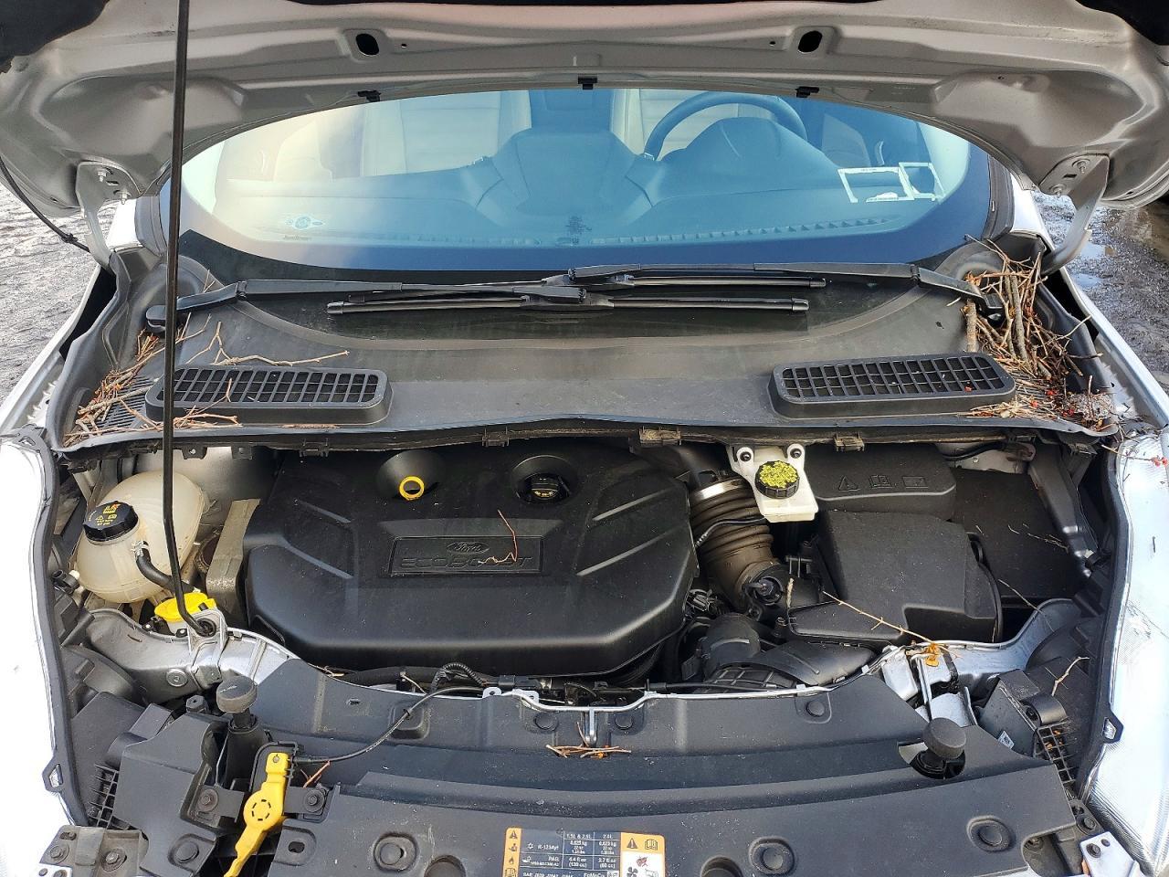 2019 FORD ESCAPE