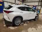 2024 LEXUS NX 350H