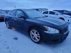 2013 NISSAN Maxima