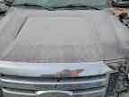 2009 FORD F-150