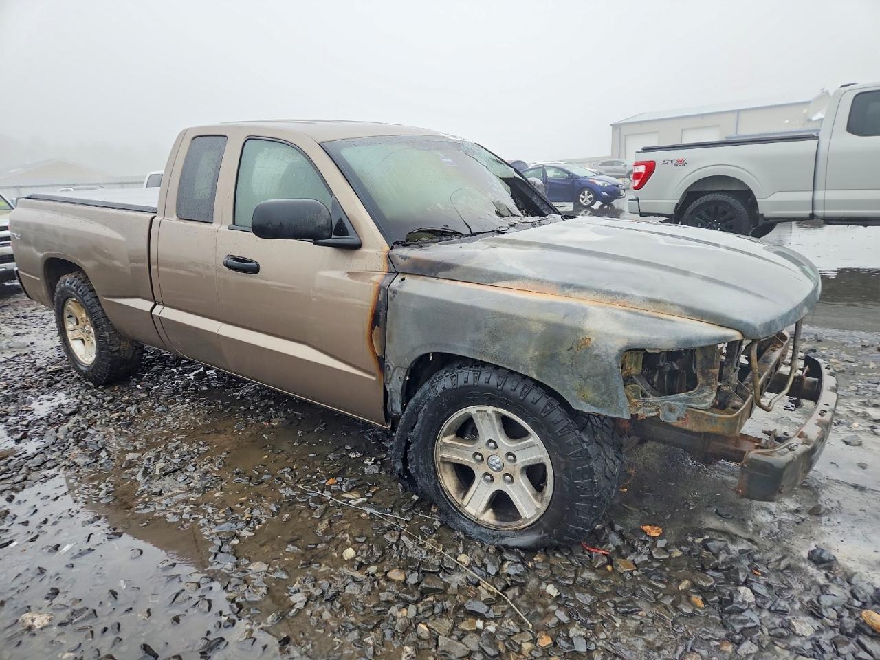 2010 DODGE Dakota