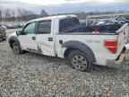 2009 FORD F-150