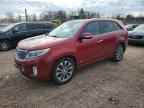2014 KIA SORENTO
