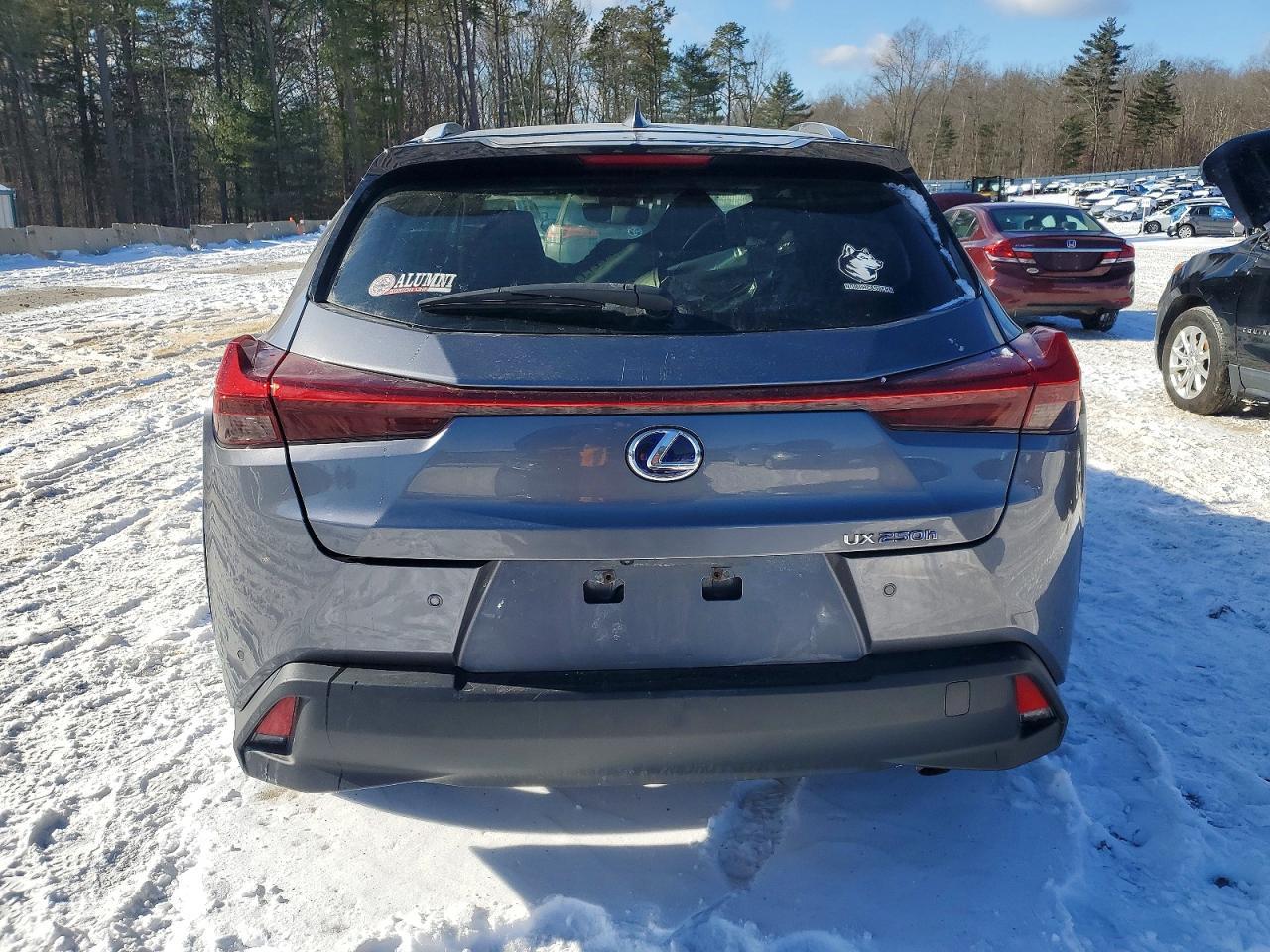 2019 LEXUS UX 250H