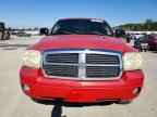 2005 DODGE Dakota