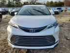 2025 TOYOTA SIENNA