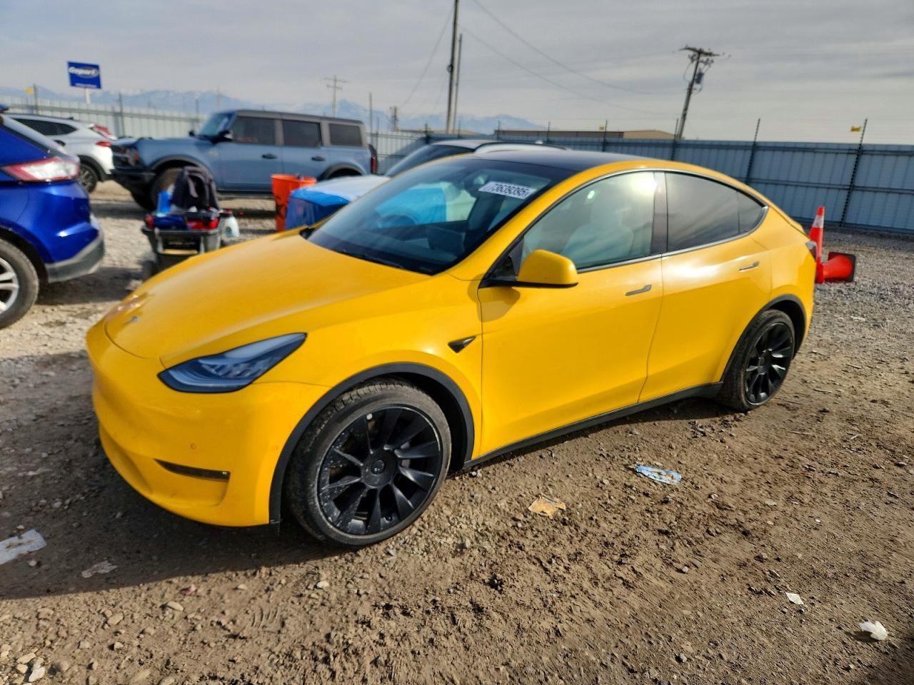 2021 TESLA MODEL Y