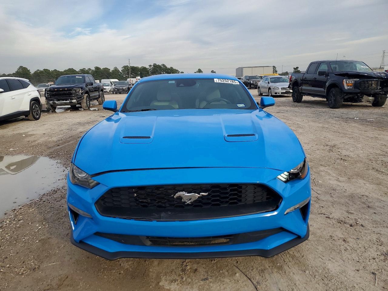 2022 FORD MUSTANG