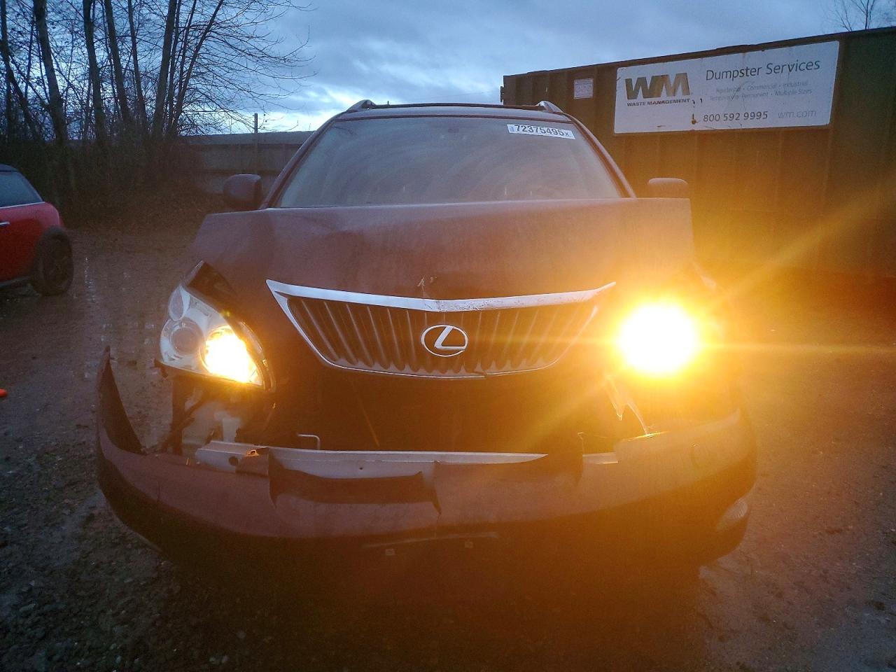 2009 LEXUS RX 350